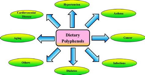 Beneficial health effects of dietary polyphenols. Polyphenols have been ...