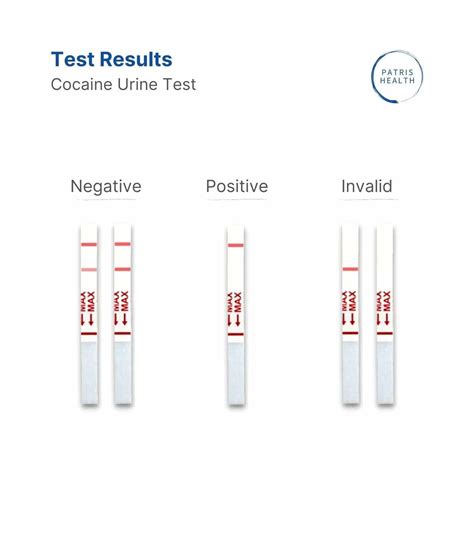 Cocaine Urine Drug Test - Professional Forensic-grade Accuracy