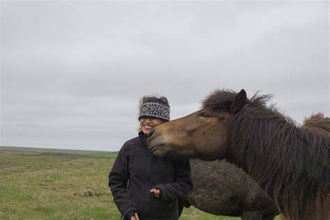 The Icelandic Horse Riding Experience — the snobby foodie