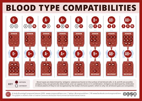 Compound Interest: National Blood Donor Month: Blood type compatibilities