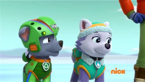 Chase and Skye wedding | Paw Patrol love stories Wikia | FANDOM powered ...