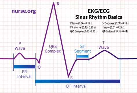 How to Read EKG/ECG Electrocardiogram Results