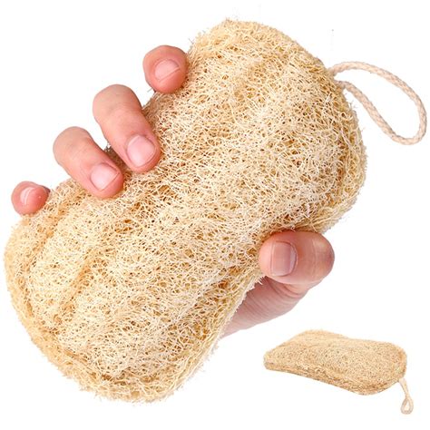 jiujoxi Natural Loofah Sponge Biodegradable Loofah Dish Sponge Non ...