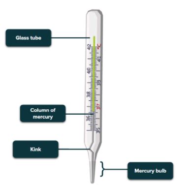 Complete Guide On Essential Thermometer Parts: Names, 55% OFF