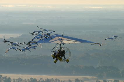 Operation Migration Teaches Endangered Whooping Cranes To Fly ...