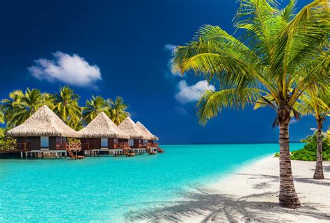 Maldives : un hotel paradisiaque lance un forfait à 25000€ pour vivre ...