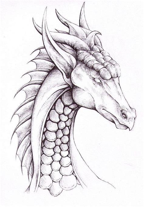 How to Draw a Dragon? 40+ Easy Dragon Sketches - HARUNMUDAK