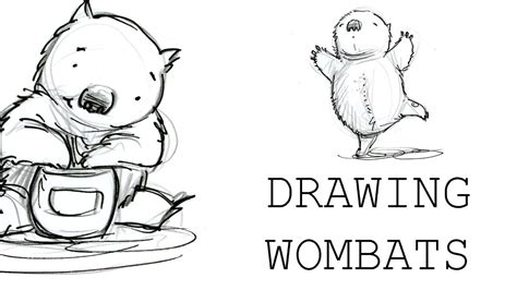 Cute Wombat Drawing