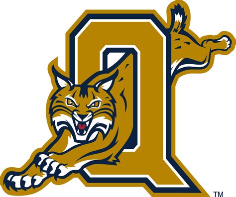 Quinnipiac Hockey Logo