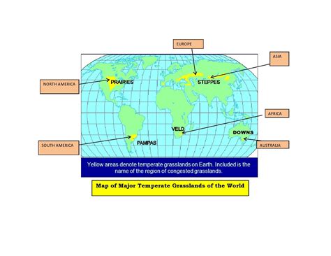 Temperate Grasslands Map