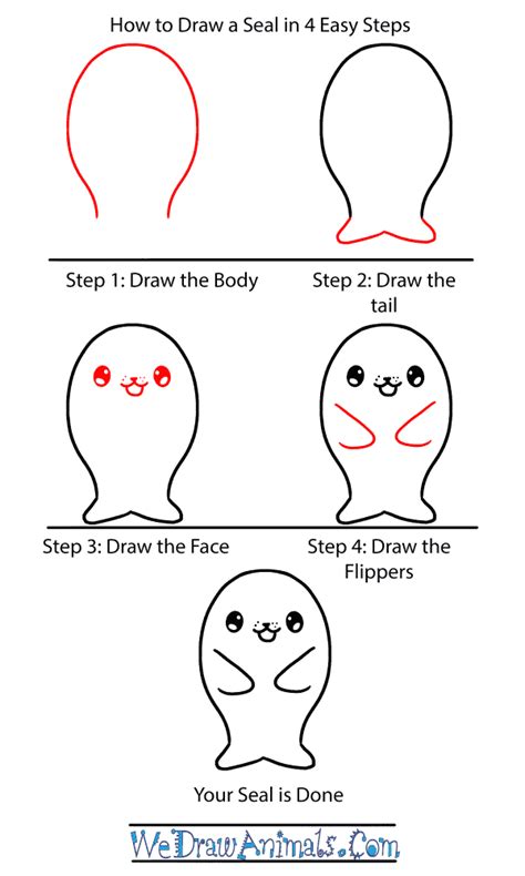 How to Draw a Baby Seal