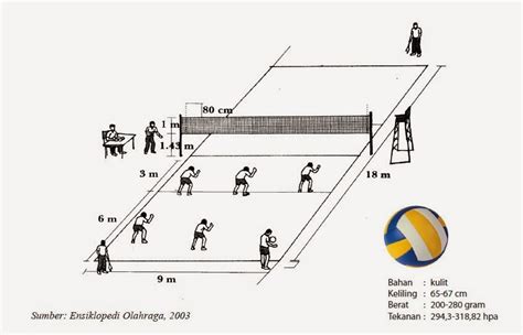 Ukuran Lapangan Bola Voli Standar Nasional Internasional & Gambarnya