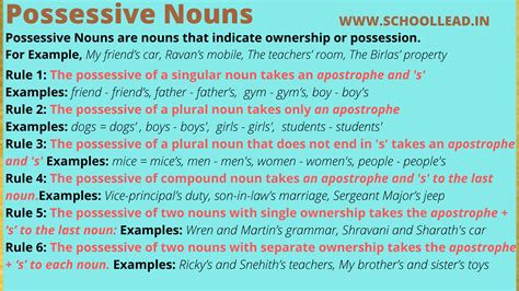 Possessive Nouns - School Lead