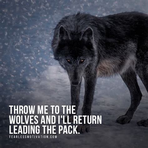 20 Strong Wolf Quotes To Pump You Up | Wolves & Wolfpack Quotes