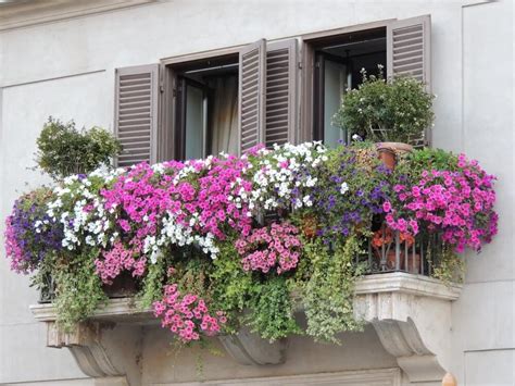 40 Window and Balcony Flower Box Ideas (PHOTOS) | Balcony flowers ...