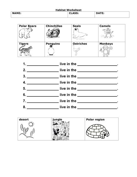 39+ Animal adaptations worksheets 3rd grade pdf for your homework