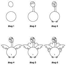 How to draw turkey - Hellokids.com