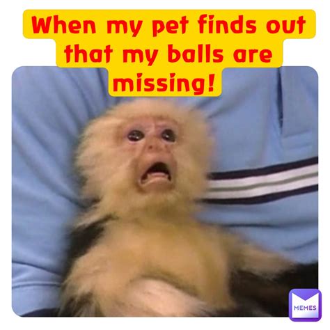 When my pet finds out that my balls are missing! | @Memes_for_life_boi ...