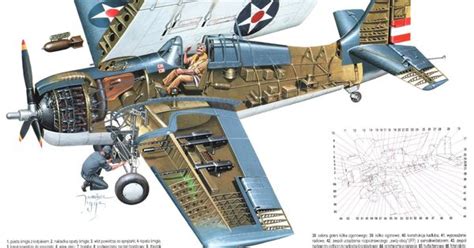 F4F Wildcat Paint Schemes | Blueprints and Cutaways | Pinterest | Paint ...