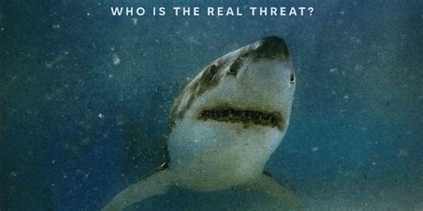 Shark Attack Documentary AFTER THE BITE Premieres on Max on July 26