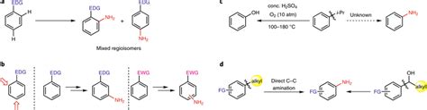 Efficient synthesis of anilines a, The development of aryl C–H primary ...