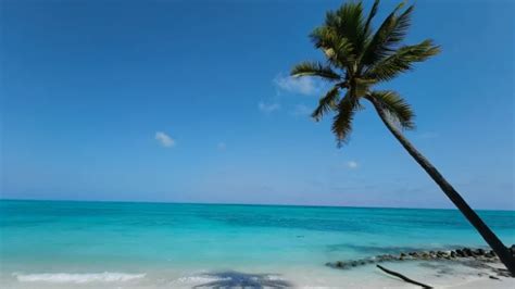 Top 8 Lakshadweep Beaches for a Tranquil Getaway and Thrilling Venture