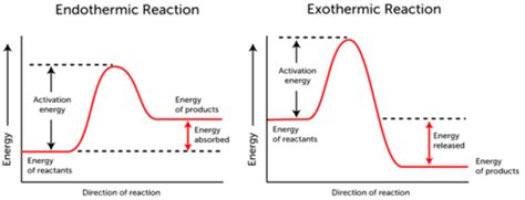 😊 Endothermic and exothermic examples. Endothermic process. 2019-01-15