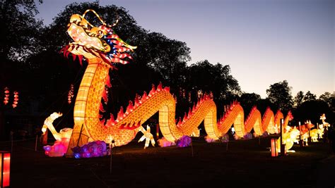 Outdoor lantern display lights up the night at Franklin Park Zoo