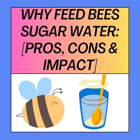 Why Feed Bees Sugar Water? [Pros, Cons and Concerns] – Bee Combplex