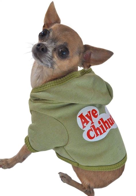 chihuahua clothing and accessories - Yahoo Image Search Results ...