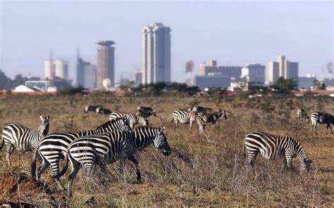 Nairobi National Park increases in size to 78,000 acres from 29,000 ...