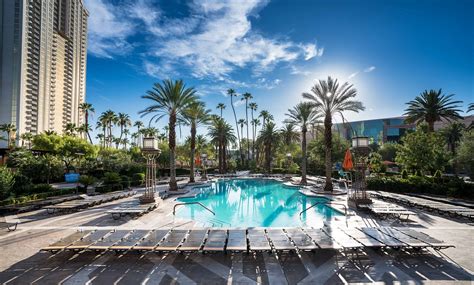 MGM Grand Pool Pictures & Reviews - Tripadvisor