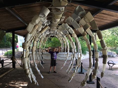 Washed Ashore Exhibit at Smithsonian National Zoo