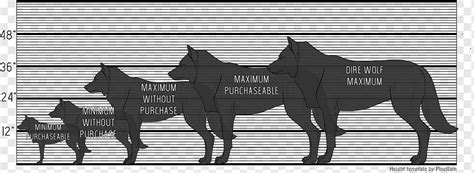 Wolf Size And Weight Chart | Blog Dandk