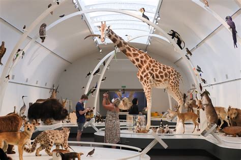 People take photos of the exhibits at the Museum of Royal Belgian ...