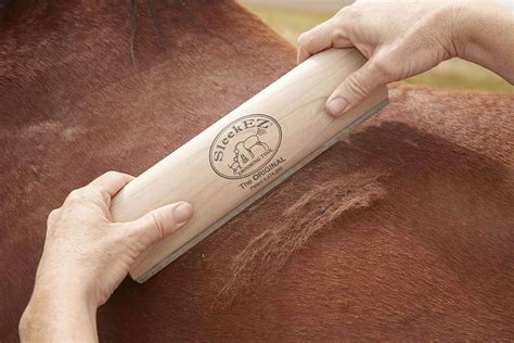 The ULTIMATE horse grooming tool! Safe, gentle and highly effective ...