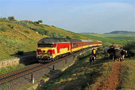 Morocco Train Tickets Online - Morocco Bus and Train Tickets