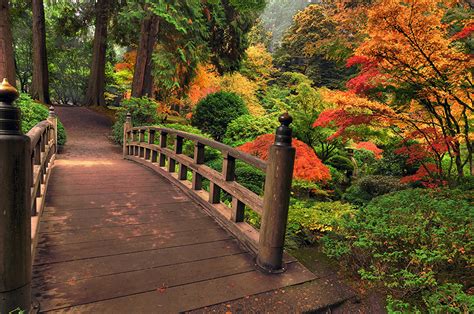 Foto Natur Brücke Garten Strauch