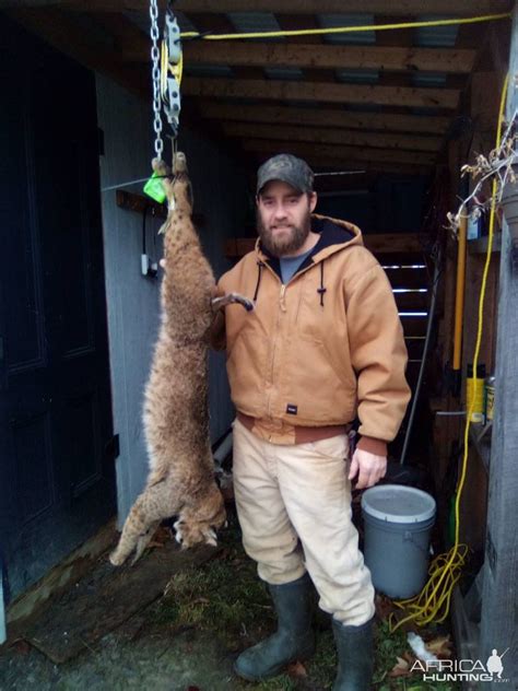 Bobcat Hunt Pennsylvania | AfricaHunting.com