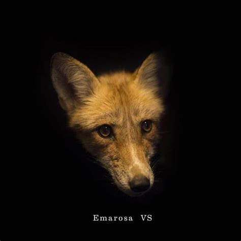 Emarosa - Versus Reimagined Lyrics and Tracklist | Genius