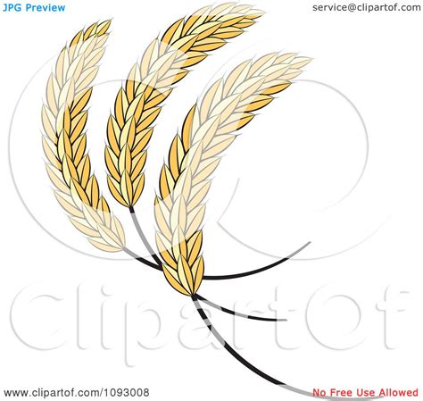 Clipart Golden Sheaves Of Wheat - Royalty Free Vector Illustration by ...