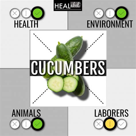 Cucumber Benefits, Side Effects: Are They Low Fodmap? Acidic?