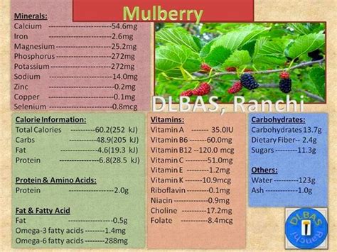 Acupressure & Natural Therapy: Health Benefits Of Mulberry