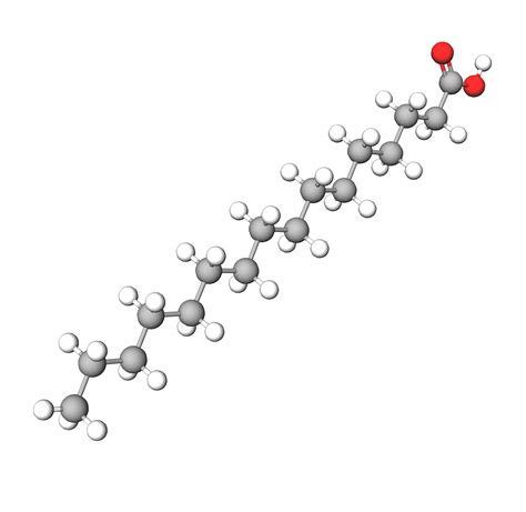 Palmitic acid | Ingredient | INCIGuide