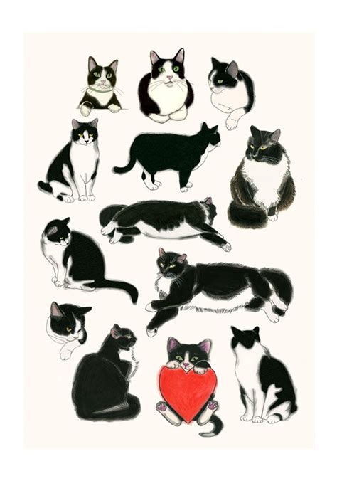 I Heart Tuxedo Cats! | Kitten drawing, Tuxedo cat art, Cat drawing