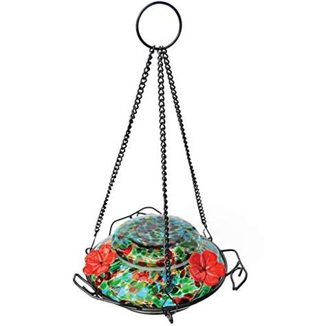 Best Solar-Powered Hummingbird Feeder