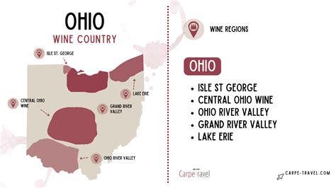 Top 10 Ohio Wineries Not to Miss