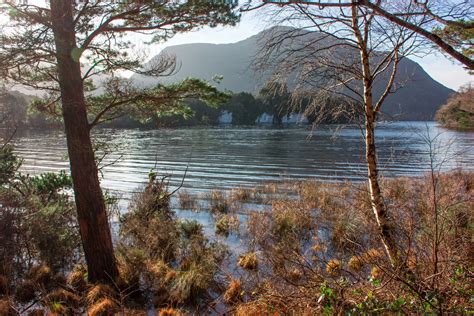 Killarney National Park at Winter on Behance