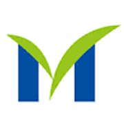 Marico Share Price Today: Live Marico Share Price NSE/BSE | 5paisa