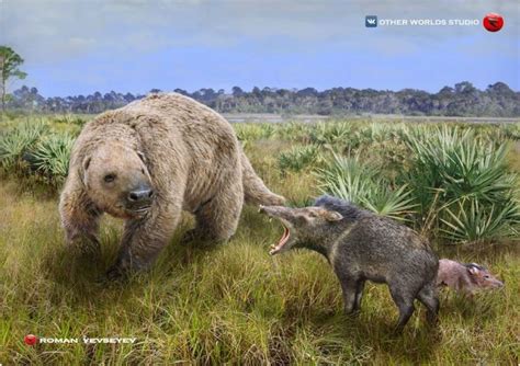 Paramylodon, an extinct genus of giant ground sloth is threatened by ...